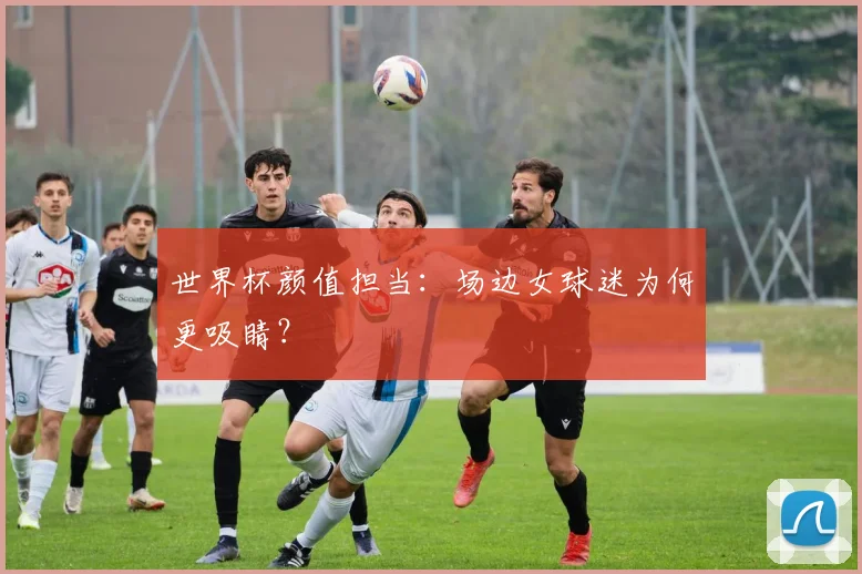 世界杯颜值担当：场边女球迷为何更吸睛？