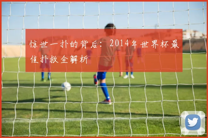 惊世一扑的背后：2014年世界杯最佳扑救全解析
