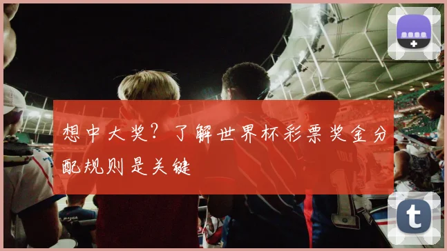 想中大奖？了解世界杯彩票奖金分配规则是关键