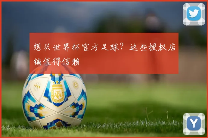 想买世界杯官方足球？这些授权店铺值得信赖