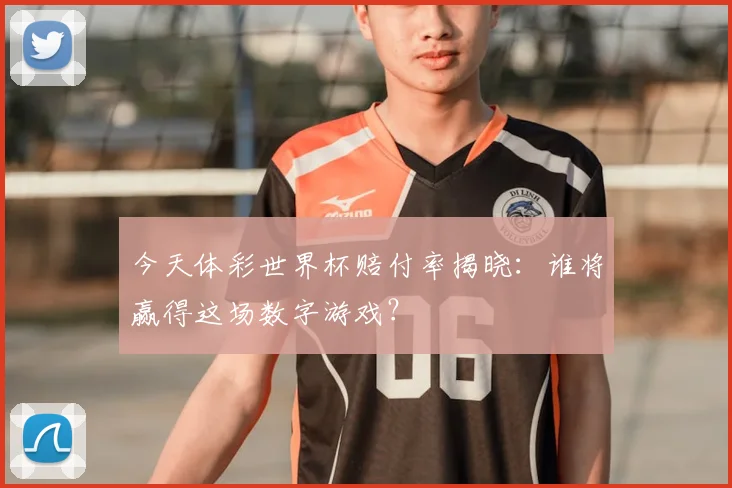 今天体彩世界杯赔付率揭晓:谁将赢得这场数字游戏?